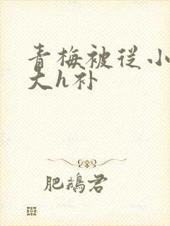 青梅被从小摸到大h补