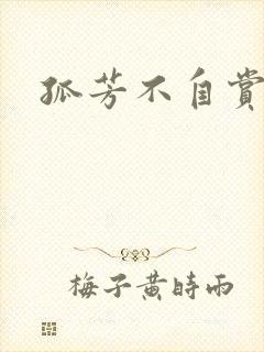 孤芳不自赏小说