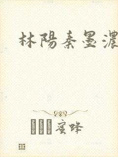 林阳秦墨浓度封面