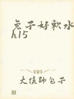兔子好软水好多h15