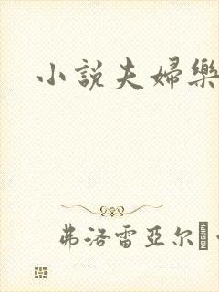 小说夫妇乐园封面