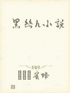 黑丝h小说