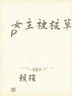 女主被校草们NP
