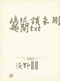 鹅绒锁未删除笔趣阁txt