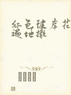 红色彼岸花花瓣遍地撒封面