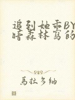 追到她乖BY黑暗森林写的小说封面