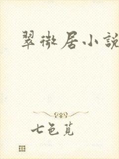 翠微居小说封面