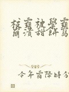 校霸被学霸玩到崩溃甜饼写手