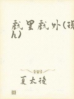 戏里戏外(现场h)