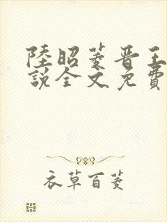 陆昭菱晋王的小说全文免费阅读