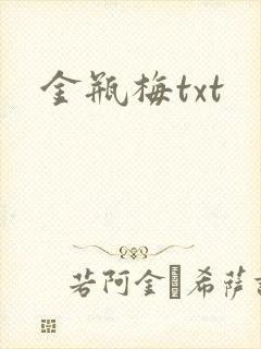 金瓶梅txt封面
