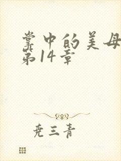 掌中的美母版主第14章