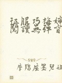 征服巧梅婶全文阅读无弹窗笔趣阁封面