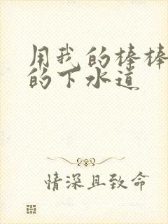 用我的棒棒通你的下水道封面