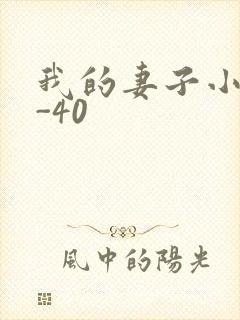 我的妻子小谨1-40