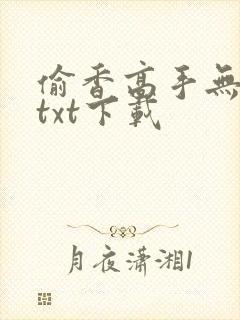 偷香高手无删减txt下载