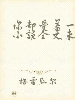 你却爱着一个他小说全文未删减免费