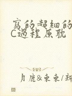 写的超细的多肉C过程原耽