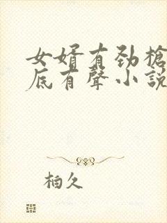 女婿有劲枪枪到底有声小说