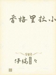 香格里拉小说封面