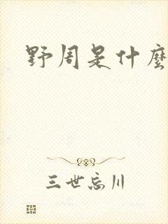 野周是什么意思