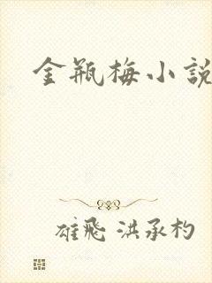 金瓶梅小说下载