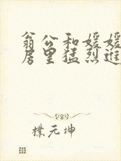 翁公和媛媛在厨房里猛烈进出