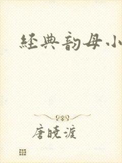 经典韵母小说封面