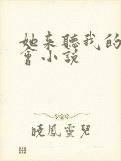 她来听我的演唱会小说