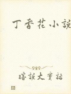 丁香花小说