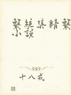 系统集精系统 小说