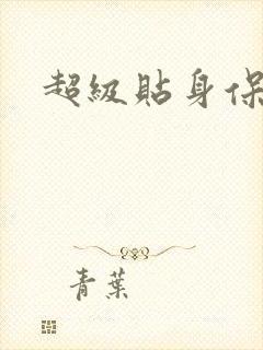 超级贴身保镖封面