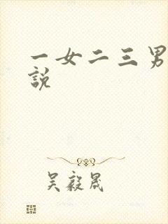一女二三男事小说封面