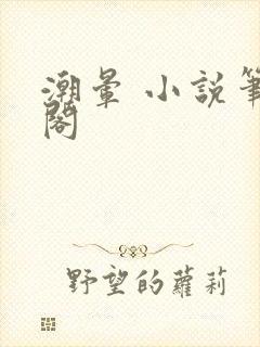 潮晕 小说笔趣阁