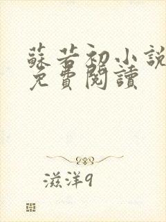 苏若初小说全文免费阅读