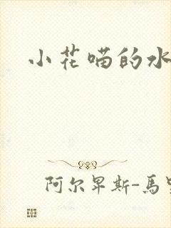 小花喵的水蜜桃