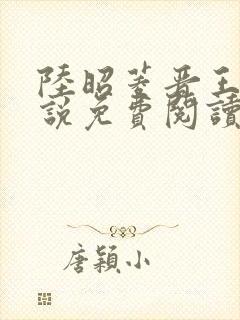 陆昭菱晋王的小说免费阅读封面