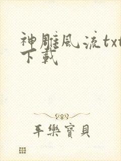 神雕风流txt下载