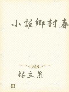 小说乡村春光封面