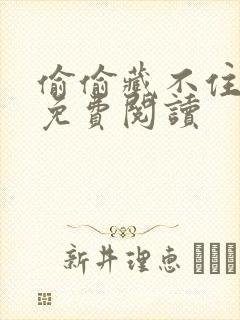 偷偷藏不住小说免费阅读