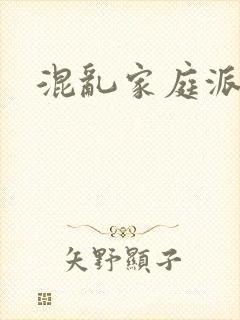 混乱家庭派对封面