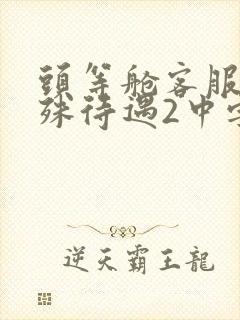 头等舱客服的特殊待遇2中字