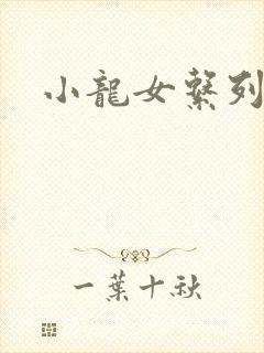 小龙女系列小说