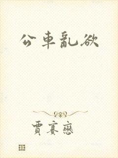 公车乱欲封面