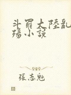 斗罗大陆乱世浮殇小说