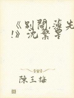 《别闹,薄先生!》沈繁星