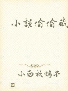 小说偷偷藏不住