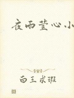 夜雨莹心小说