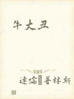 牛大丑封面