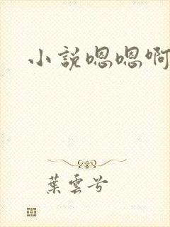 小说嗯嗯啊啊封面